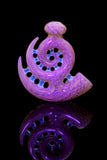 Natey x JD Maplesden "Nautilus" Set